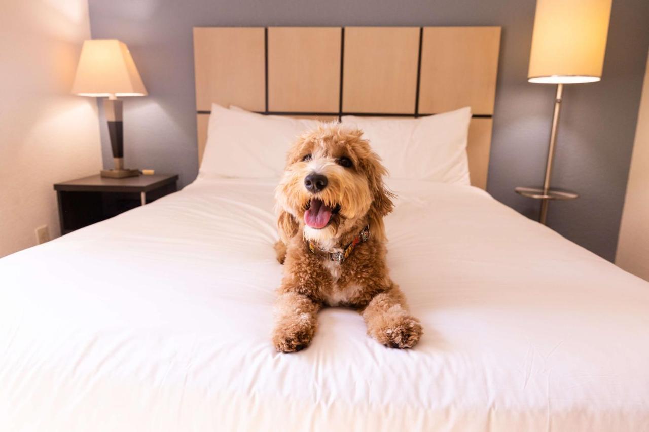 Sonesta Simply Suites Chicago Уокиган Екстериор снимка